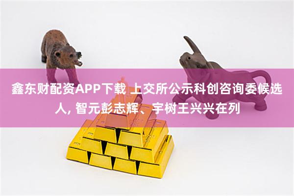 鑫东财配资APP下载 上交所公示科创咨询委候选人, 智元彭志辉、宇树王兴兴在列