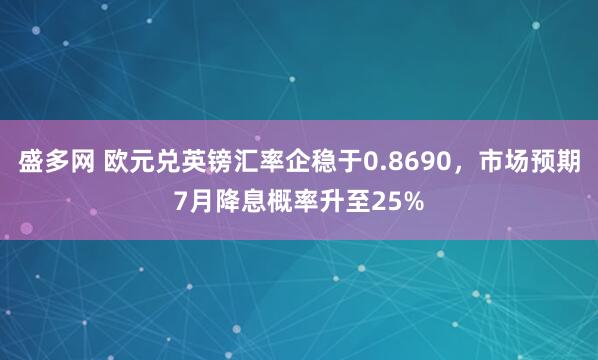 盛多网 欧元兑英镑汇率企稳于0.8690，市场预期7月降息概率升至25%